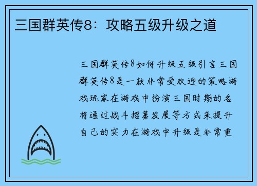三国群英传8：攻略五级升级之道